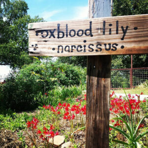 Saving the Gardens for Miss Margaret Image